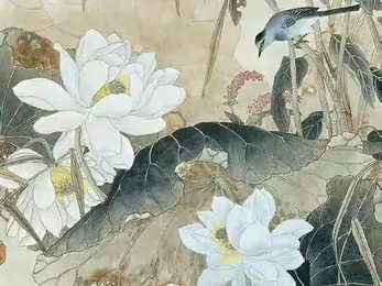 小暑 彭连熙图说二十四节气